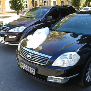 Авто на весілля. Nissan Teana. Sssang Yong Kyron., фото 3